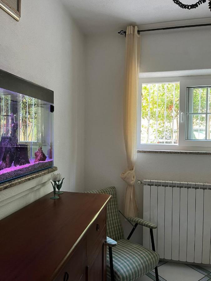 Bed and Breakfast Casa Impagliazzo Forio di Ischia Zewnętrze zdjęcie
